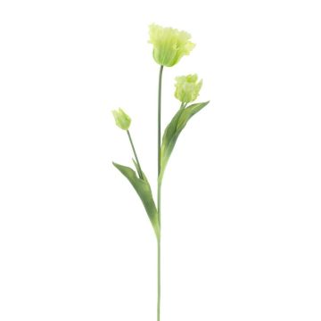 Künstliche Blume Papageientulpe BRYNIA, hellgrün, 70cm Künstliche Blume Papageientulpe BRYNIA, hellgrün, 70cm