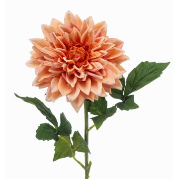Kunstblume Dahlie ZELRAN, aprikose, 70cm, Ø15cm Kunstblume Dahlie ZELRAN, aprikose, 70cm, Ø15cm