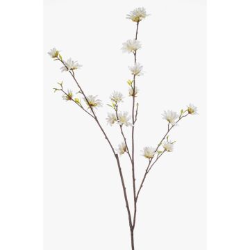 Deko Zweig Zaubernuss ZAVNER mit Blüten, weiß, 110cm