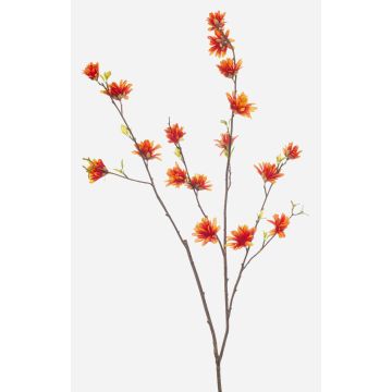 Deko Zweig Zaubernuss ZAVNER mit Blüten, orange, 110cm