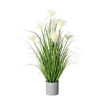 Dekogras Pampasgras VILMO im Dekotopf, Rispen, creme, 75cm Dekogras Pampasgras VILMO im Dekotopf, Rispen, creme, 75cm