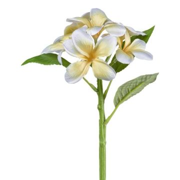 Kunstblume Frangipani KHENIS, gelb-creme, 30cm