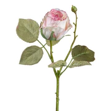 Kunstblume Rose ZORKLIN, rosa-creme, 45cm, Ø6,5cm Kunstblume Rose ZORKLIN, rosa-creme, 45cm, Ø6,5cm