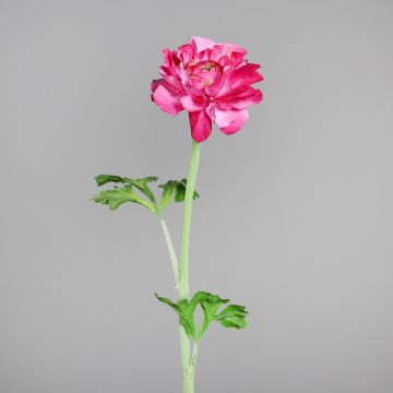 Dekoblume Ranunkel ASTRIEL mit Blüten, pink, 45cm Dekoblume Ranunkel ASTRIEL mit Blüten, pink, 45cm