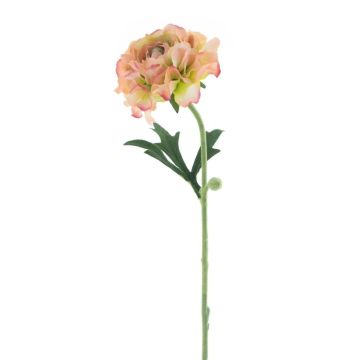 Dekoblume Ranunkel ALSYRA, pfirsich, 55cm Dekoblume Ranunkel ALSYRA, pfirsich, 55cm