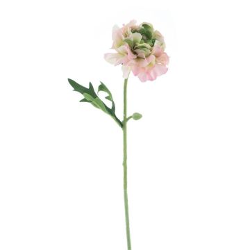 Dekoblume Ranunkel ALSYRA, hellrosa, 55cm Dekoblume Ranunkel ALSYRA, hellrosa, 55cm