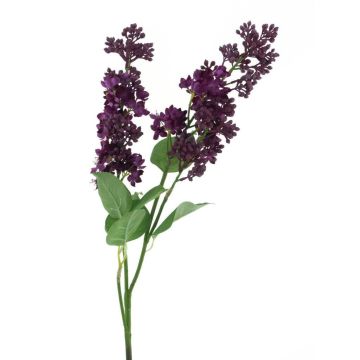 Deko Zweig Flieder KORUMI mit Blüten, violett, 90cm Deko Zweig Flieder KORUMI mit Blüten, violett, 90cm