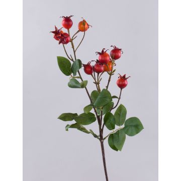 Dekozweig Kartoffelrose LOPUNY mit Hagebutten, orange, 70cm Dekozweig Kartoffelrose LOPUNY mit Hagebutten, orange, 70cm