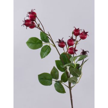 Dekozweig Kartoffelrose LOPUNY mit Hagebutten, rot, 70cm Dekozweig Kartoffelrose LOPUNY mit Hagebutten, rot, 70cm
