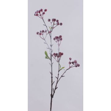Dekozweig Schneebeere SOPUNY, Beeren, beschneit, rot-weiß, 70cm Dekozweig Schneebeere SOPUNY, Beeren, beschneit, rot-weiß, 70cm