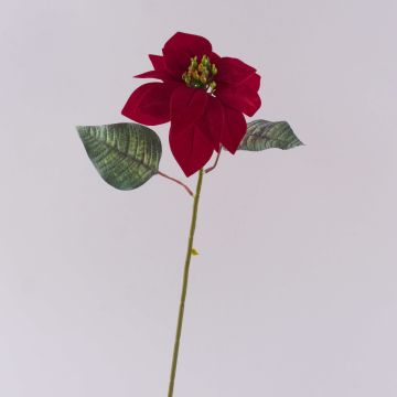 Samt Poinsettia künstlich LIBASSE, rot, 45cm