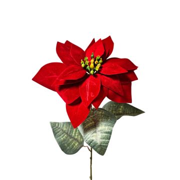 Samt Poinsettia künstlich LIBASSE, dunkelrot, 65cm