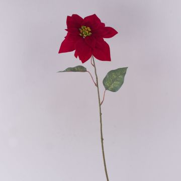 Samt Poinsettia künstlich LIBASSE, dunkelrot, 65cm Samt Poinsettia künstlich LIBASSE, dunkelrot, 65cm