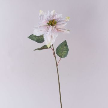 Samt Poinsettia künstlich LIBASSE, weiß-rosa, 65cm Samt Poinsettia künstlich LIBASSE, weiß-rosa, 65cm