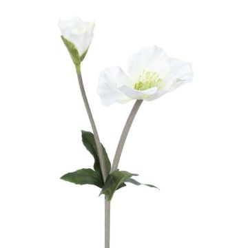 Plastikblume Christrose TRUNDA, weiß, 45cm Plastikblume Christrose TRUNDA, weiß, 45cm