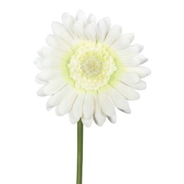 Künstliche Blume Gerbera TUNZA, creme, 50cm