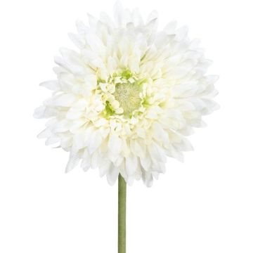 Künstliche Blume Gerbera MOLZA, creme, 60cm