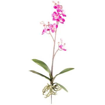 Kunst Phalaenopsis Orchidee MALZA, Steckstab, Wurzeln, cerise, 55cm
