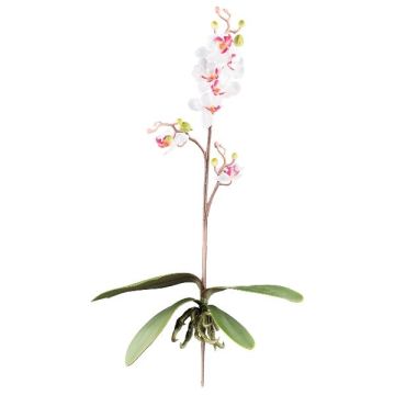 Kunst Phalaenopsis Orchidee MALZA, Steckstab, Wurzeln, weiß-lila, 55cm