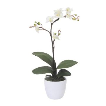Kunst Phalaenopsis Orchidee MALZA, Steckstab, Wurzeln, creme, 55cm