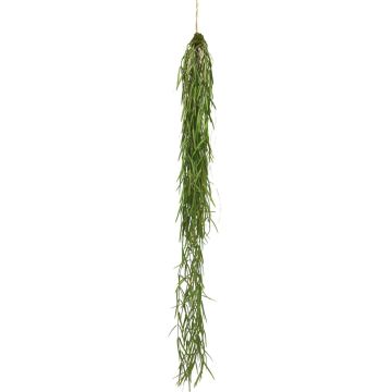 Kunstpflanze Sukkulente Hoya linearis Hänger ERMELA, hängend, grün, 95cm Kunstpflanze Sukkulente Hoya linearis Hänger ERMELA, hängend, grün, 95cm