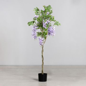 Dekobaum Blauregen MELIOSA mit Blüten, Kunststamm, violett, 150cm Dekobaum Blauregen MELIOSA mit Blüten, Kunststamm, violett, 150cm