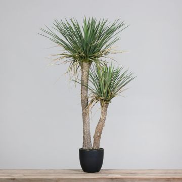 Kunst Palme Yucca rostrata ISIANITA im Dekotopf, 105cm Kunst Palme Yucca rostrata ISIANITA im Dekotopf, 105cm