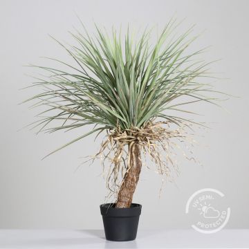 Kunst Palme Yucca rostrata BELENIA im Dekotopf, 80cm Kunst Palme Yucca rostrata BELENIA im Dekotopf, 80cm