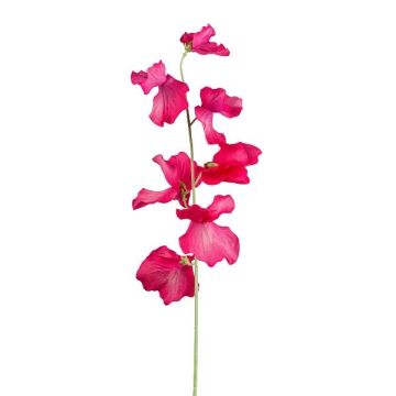 Künstliche Blume Lathyrus latifolius TERRAT, pink, 50cm