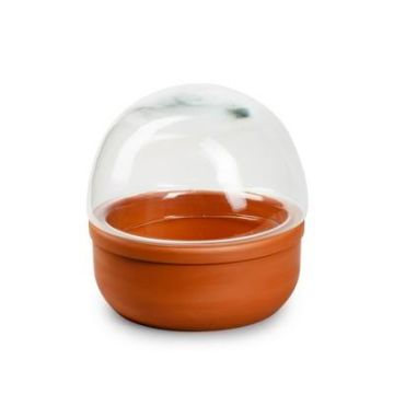 Glas Pflanzen Terrarium LUMIAN, Keramikschale, klar, 17cm, Ø17cm