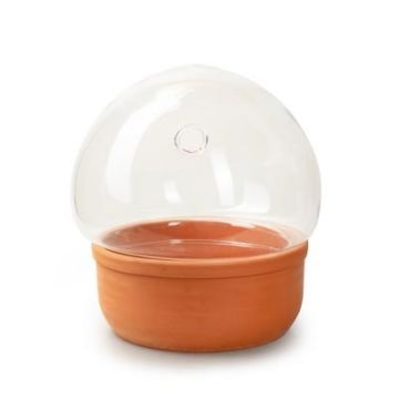 Glas Pflanzen Terrarium LUMIAN mit Loch, Keramikschale, klar, 25cm, Ø21cm