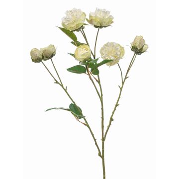 Künstlicher Zweig Kohl-Rose TRUVOL, weiß-grün, 65cm, Ø2-6cm