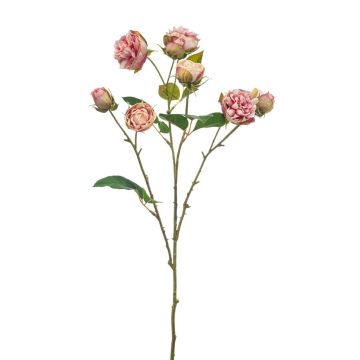 Künstlicher Zweig Kohl-Rose TRUVOL, rosa-creme, 65cm, Ø2-6cm