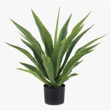 Künstliche Agave americana ZURNAL im Dekotopf, crossdoor, grün, 70cm