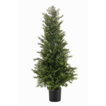 Zeder künstlich ZARGEN, crossdoor, grün, 90cm Zeder künstlich ZARGEN, crossdoor, grün, 90cm