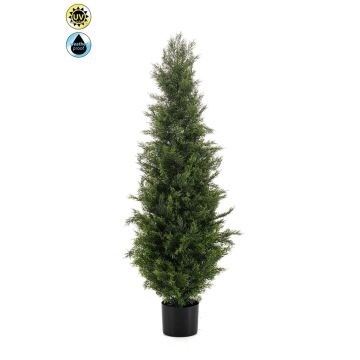 Zeder künstlich ZARGEN, crossdoor, grün, 120cm