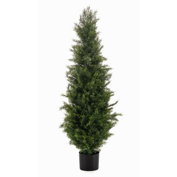 Zeder künstlich ZARGEN, crossdoor, grün, 120cm Zeder künstlich ZARGEN, crossdoor, grün, 120cm
