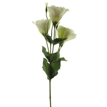 Unechter Lisianthus ALARONA, creme, 55cm, Ø6-8cm