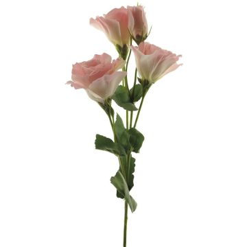 Unechter Lisianthus ALARONA, rosa-creme, 55cm, Ø6-8cm