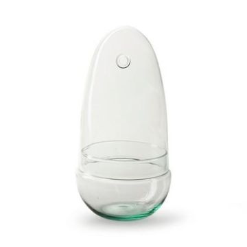 Terrarium Flaschengarten VILOSA aus Eco Glas, Eiform, klar, 25cm, Ø12cm