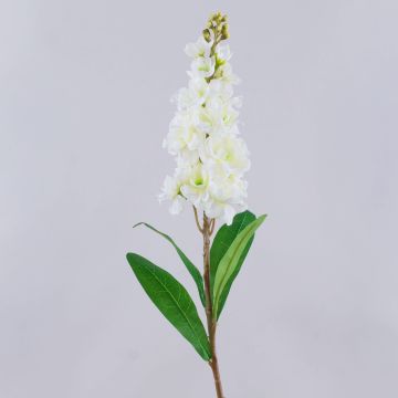 Kunstblume Levkoje BARIADE, creme-weiß, 85cm Kunstblume Levkoje BARIADE, creme-weiß, 85cm