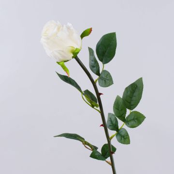 Rose künstlich SUNJIK, creme, 75cm, Ø7cm Rose künstlich SUNJIK, creme, 75cm, Ø7cm