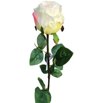 Rose künstlich SUNJIK, creme-rosa, 75cm, Ø7cm Rose künstlich SUNJIK, creme-rosa, 75cm, Ø7cm