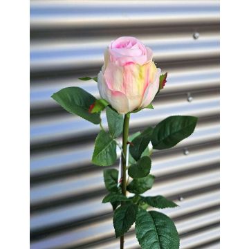 Rose künstlich SUNJIK, rosa-creme, 75cm, Ø7cm Rose künstlich SUNJIK, rosa-creme, 75cm, Ø7cm