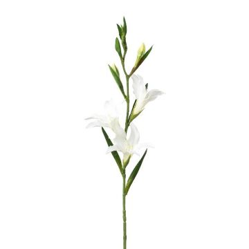 Kunstblume Gladiole LUNDYL, weiß, 70cm