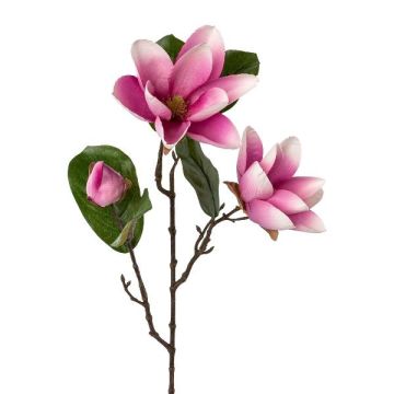 Kunstblumen Zweig Magnolie PLORNE, pink, 70cm Kunstblumen Zweig Magnolie PLORNE, pink, 70cm