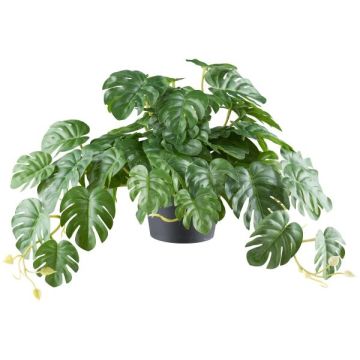 Plastik Philodendron Monstera Deliciosa PIUS,40cm