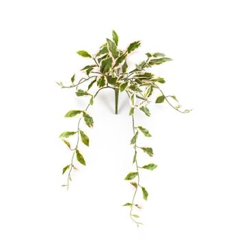 Kunstpflanze Porzellanblume YLFES auf Steckstab, hängend, grün, 50cm