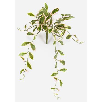 Kunstpflanze Porzellanblume YLFES auf Steckstab, hängend, grün, 50cm