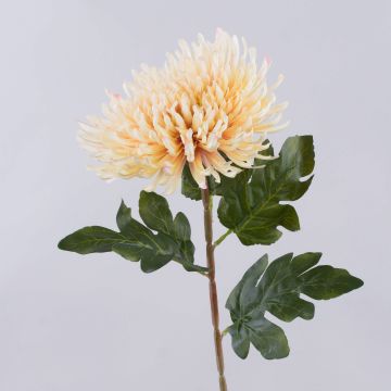 Künstliche Chrysantheme HIKJON, creme-aprikose, 75cm, Ø18cm Künstliche Chrysantheme HIKJON, creme-aprikose, 75cm, Ø18cm